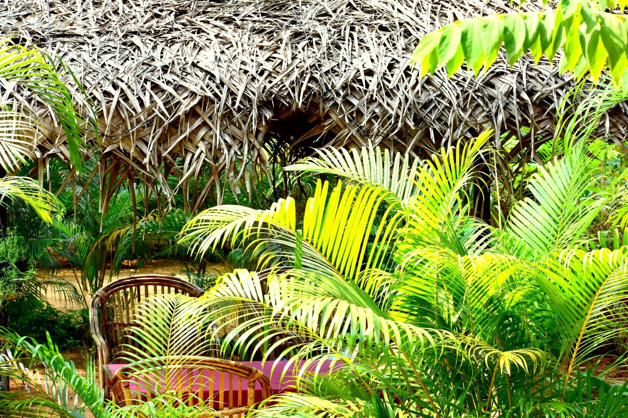 Patnem Garden Resort Patnem Beach Extérieur photo